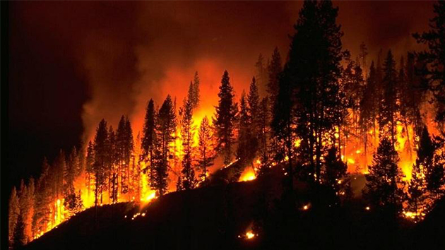 消防知識 丨 5種火災不能用水撲救，你知道嗎？